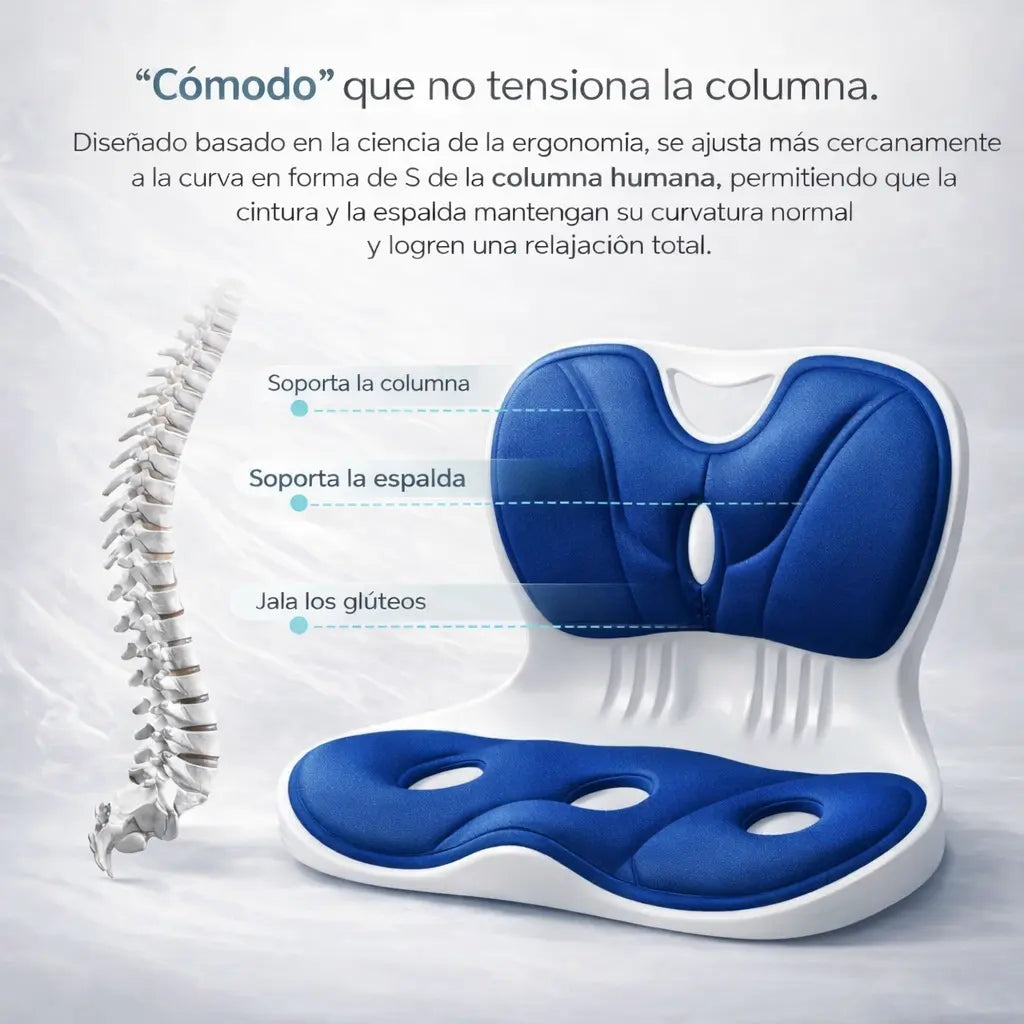 Soporte ergonomico de asiento